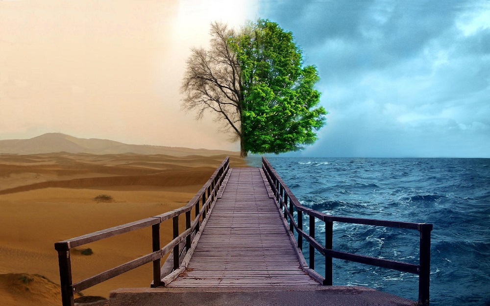 Bilder-Thread TwoDifferentWorlds