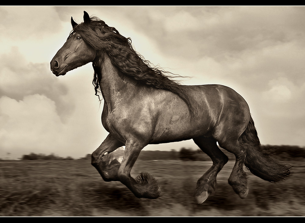 Bilder-Thread der-fliegende-friese-veroeffentlicht-im-