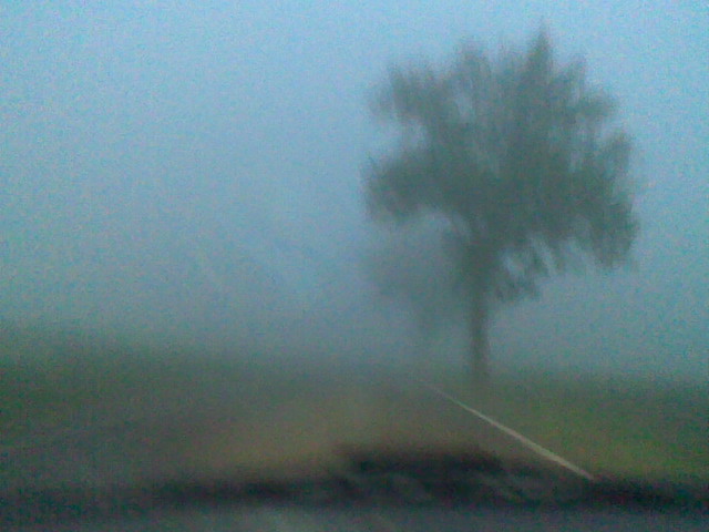 Nebel