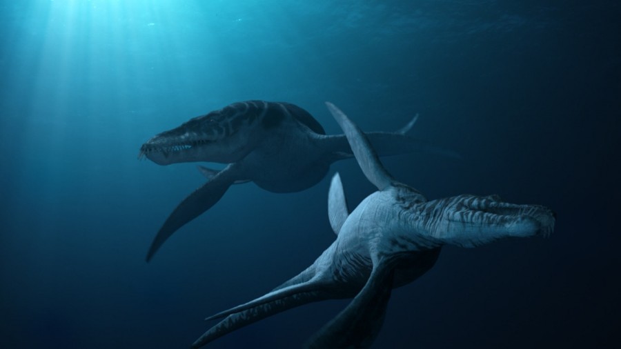 liopleurodon5