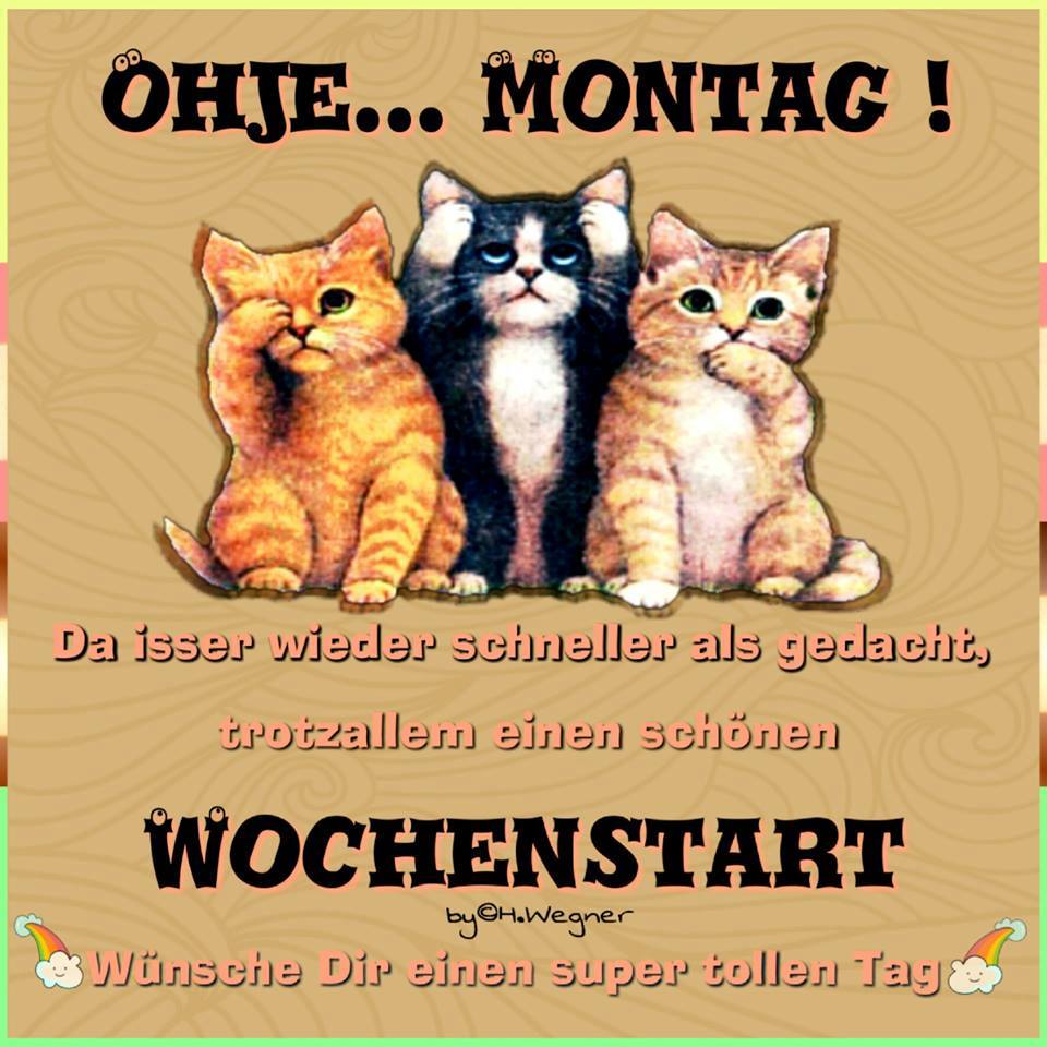 Montag