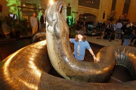 titanoboa