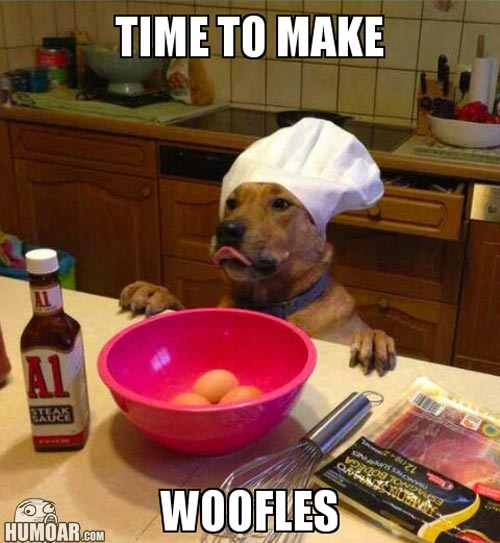 time-to-make-woofles