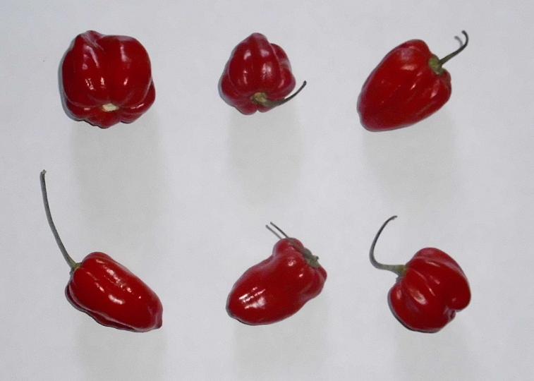 habaneros