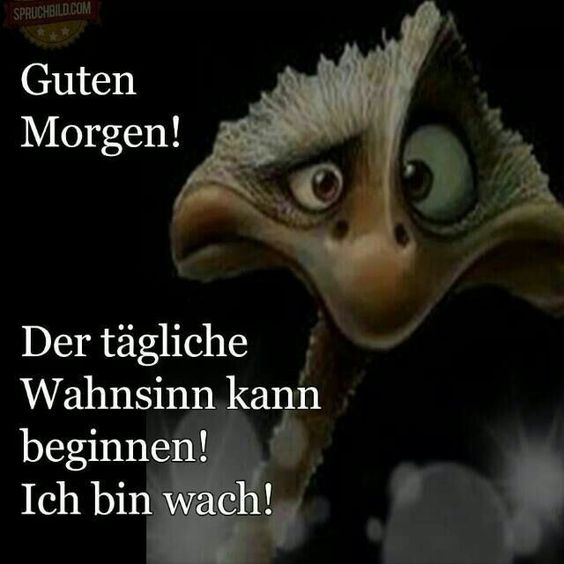 Guten Morgen