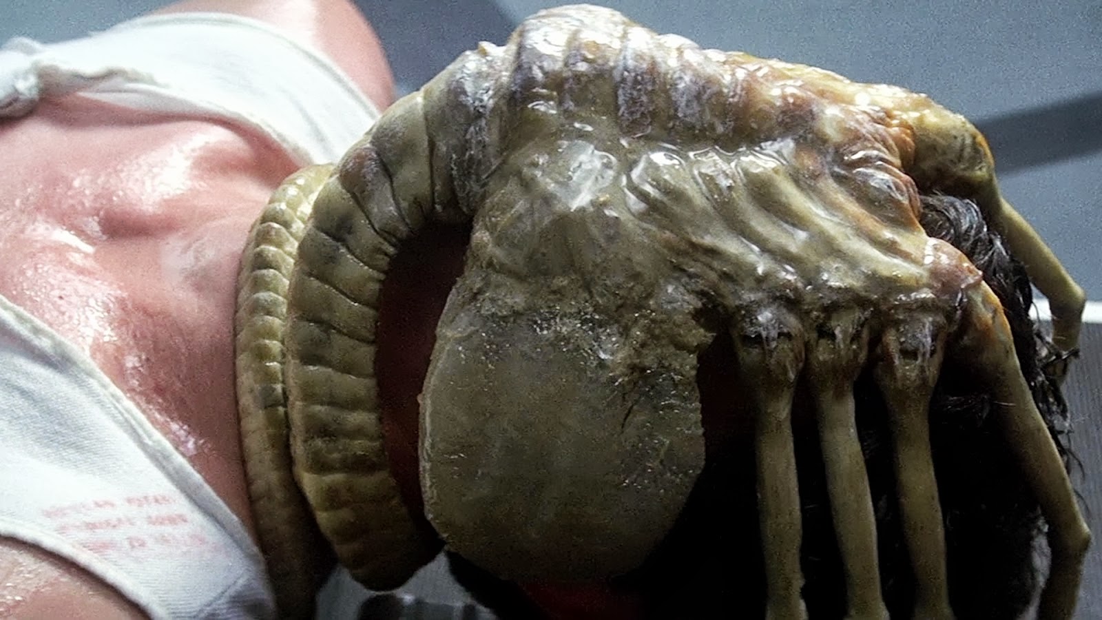 Bilder-Thread alien
