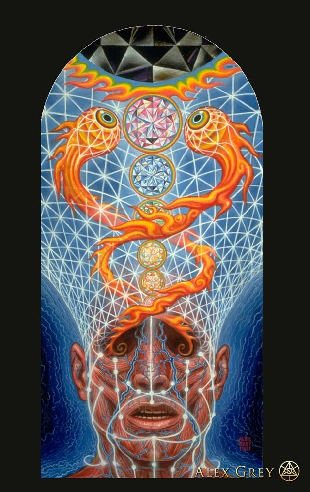 Alex Grey-Glimpsing