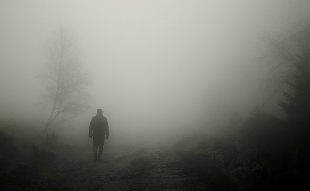 man-walking-in-mysterious-dark-forest-43