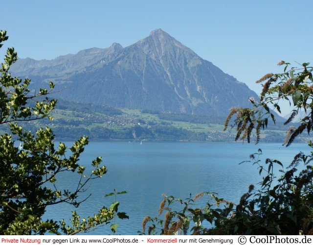 0817 05429 thunersee niesen