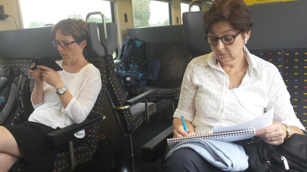 doppelte Frauen im Zug