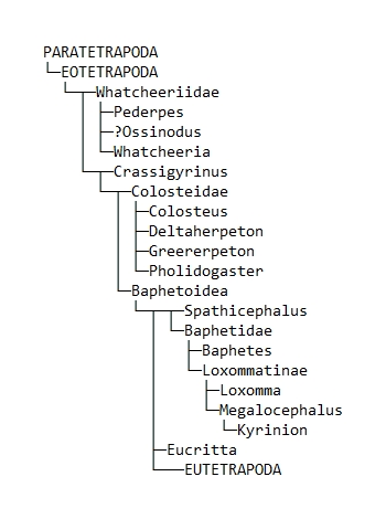 Tetra-02-Eotetrapoda