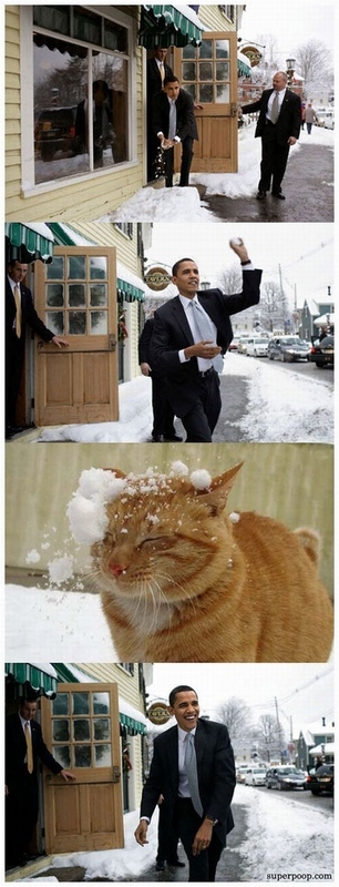 Bilder-Thread obama-is-a-dick