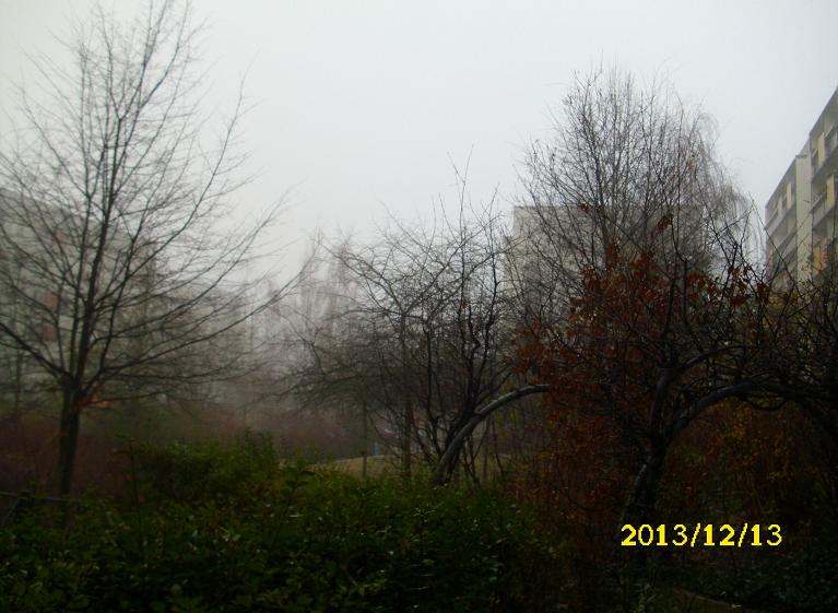 nebel