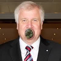 Download 1 seehofer