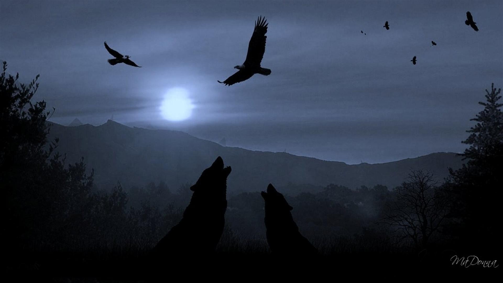 wolves dark moon