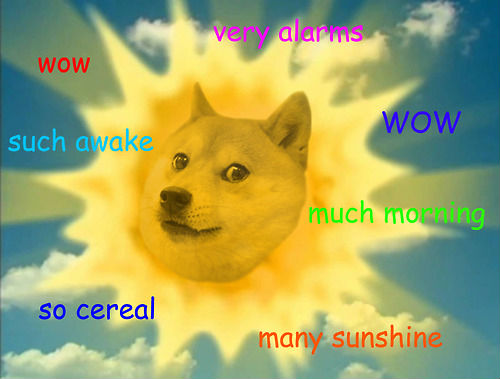 dogemorgen