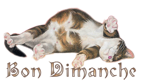 dimanche 071