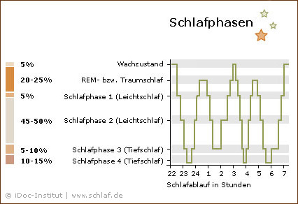 schlafphasen neu