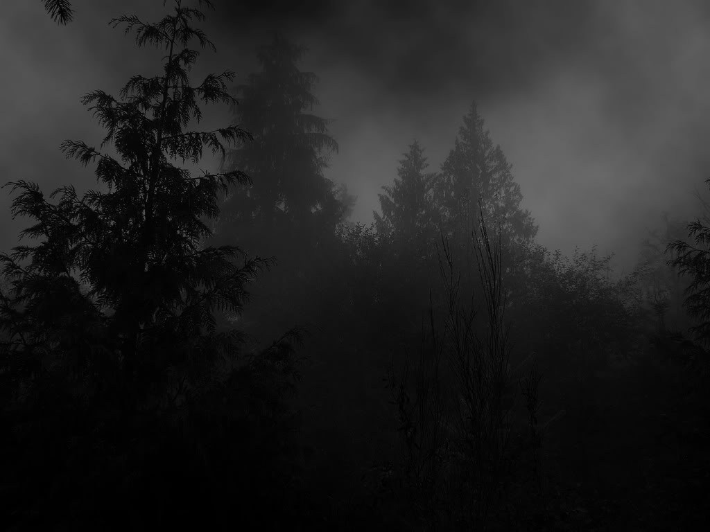 Depressive Forest Wallpaper 7lfjw-532