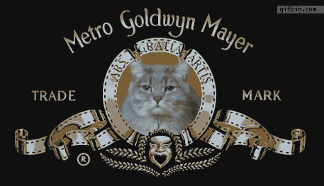 1339605680 the metro goldwyn mayer kitte