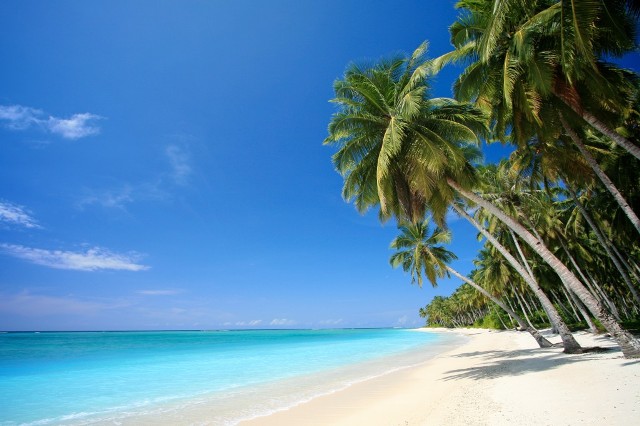 tropical-beach-screensaver-1024x682