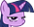 twi-norly