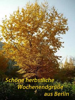 mein baum im herbst - Kopie - Kopie