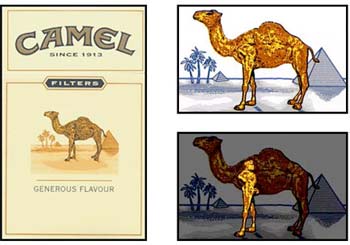 camel