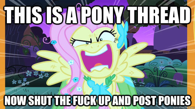 Ponythreaddidyounotreadthegoddamnpic 816