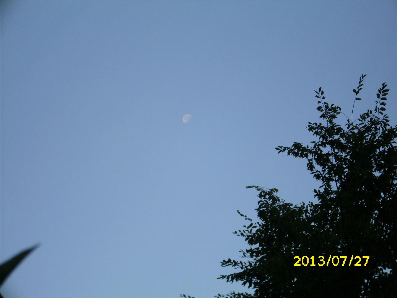 mond 2