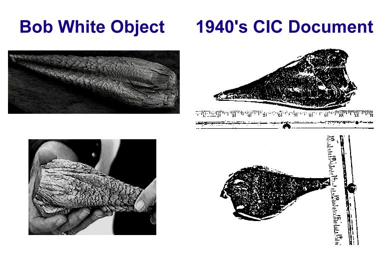 cic-document