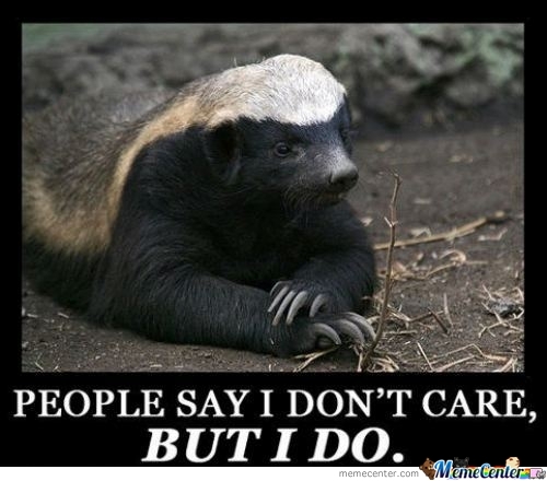 Honey Badger Does Care by meme center - 