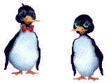 pair penguins