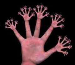 Bilder-Thread fraktal hand