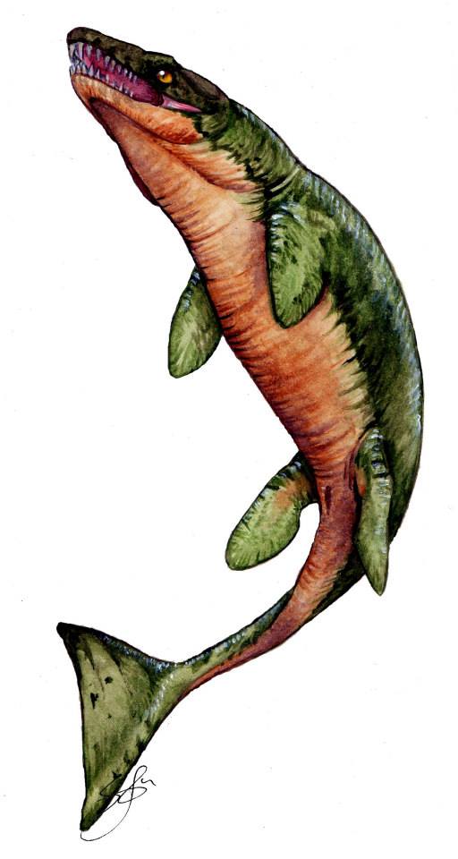 dakosaurus andiniensis by sebasruna-d6iw