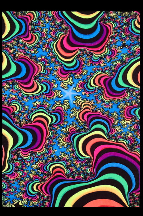 Bilder-Thread rainbow high
