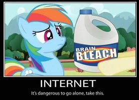 mlp internet demotivator by talhos-d5e00