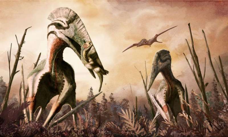 hatzegopteryx