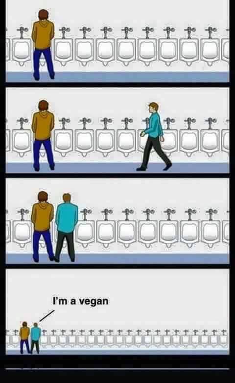 vegan 1
