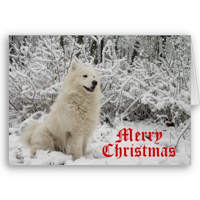 wolf christmas card merry christmas-p137